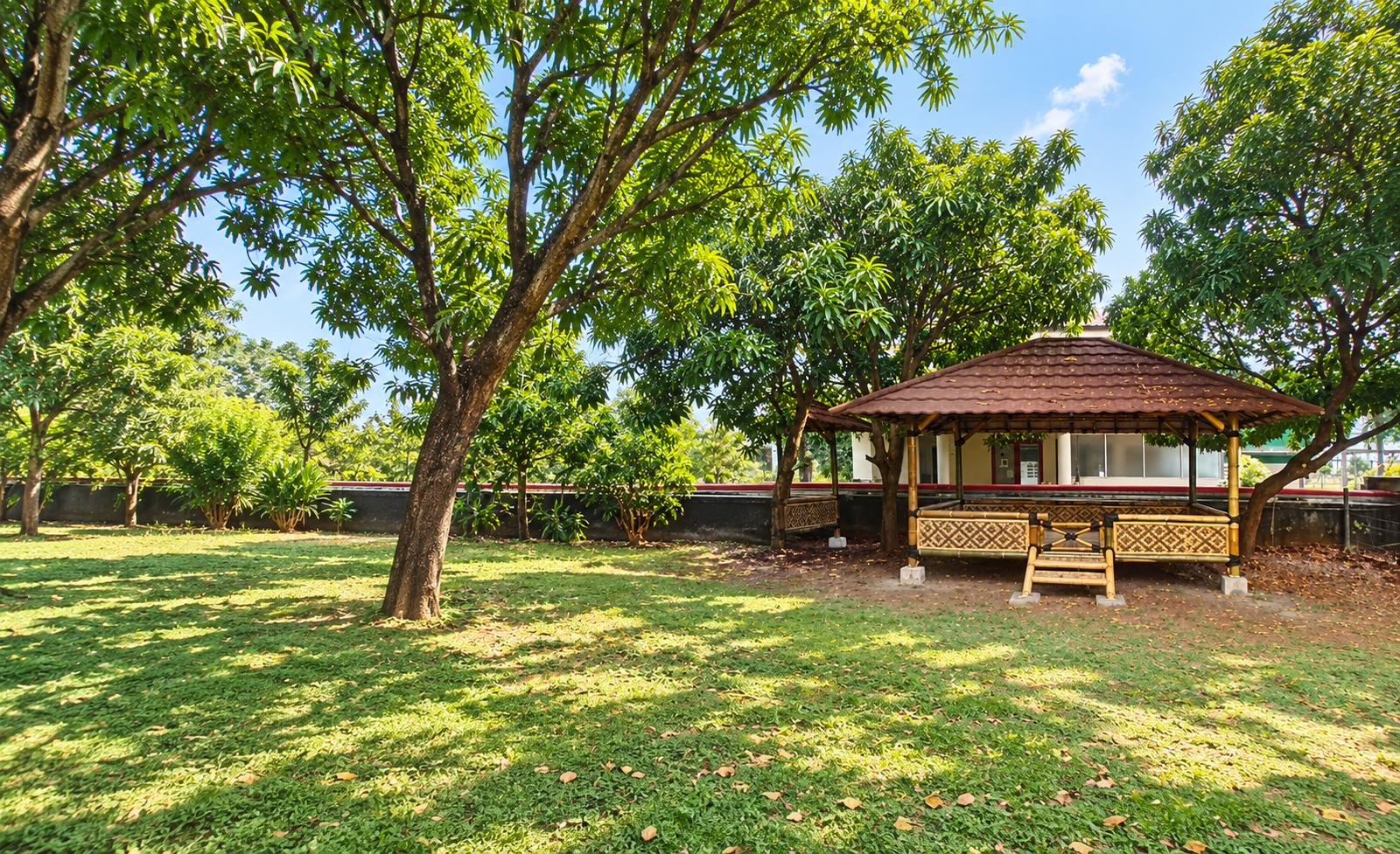 Gazebo bambu di bawah pohon mangga